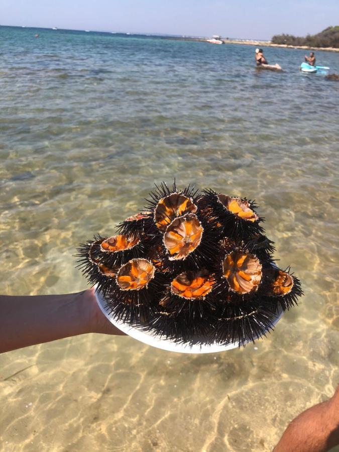 Salento Casa Vacanza Il Focolare Torchiarolo Kültér fotó